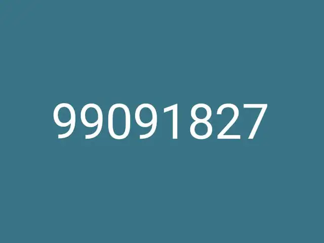 99091827, Улаанбаатар — Сүхбаатар — 5-р хороолол