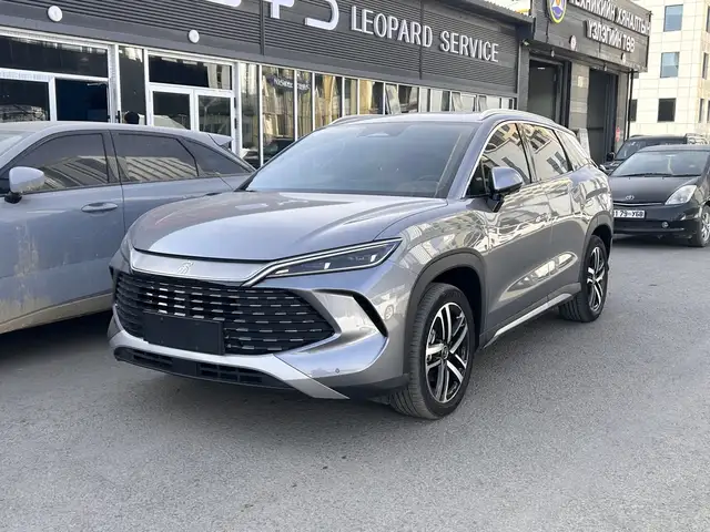 BYD Бусад