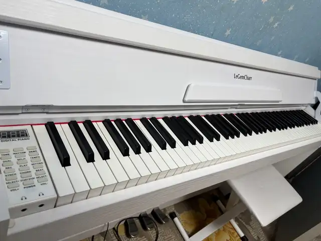 Төгөлдөр хуур, Дорноговь