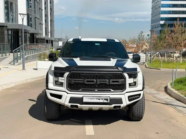 Ford Бусад