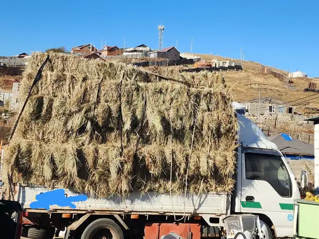 Өвс, Улаанбаатар — Баянзүрх — 21-р хороо