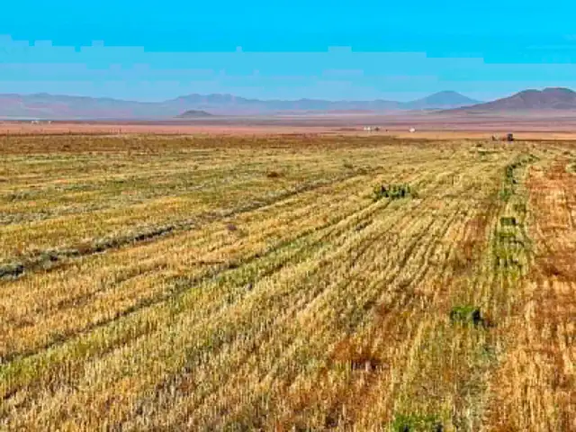 Төв аймаг лүн сум 1-р баг энхийн хөндийд 80га газар, Төв