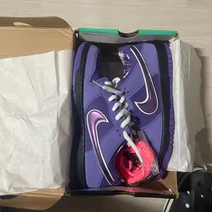 Nike size 43, Улаанбаатар — Баянзүрх — 31-р хороо