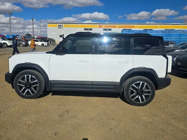 Chery Бусад