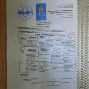 чацаргана жимс, Улаанбаатар — Баянгол — 10-р хороолол