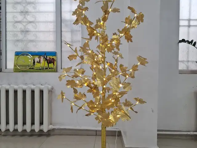 Гэрэл, Улаанбаатар — Баянгол — 10-р хороолол