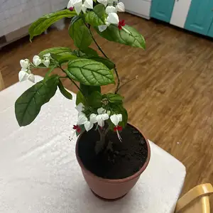Цэцэг, Улаанбаатар — Баянзүрх — 14-р хороолол