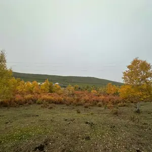 Эмжж сувиллын урд талд 2 айлын өмчилсөн газар, Төв