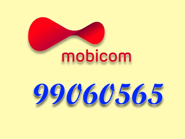 99060565, Улаанбаатар — Баянгол — 3, 4 хороолол