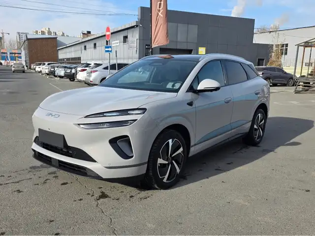 BYD Бусад