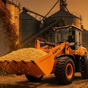 Loader operator - ковшийн сургалт, Улаанбаатар — Чингэлтэй — 3-р хороо