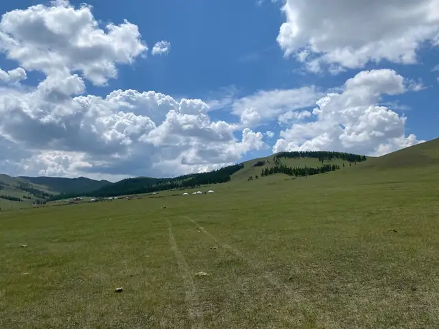 Цонжинд 2000мкв өмчилсөн газар, Төв
