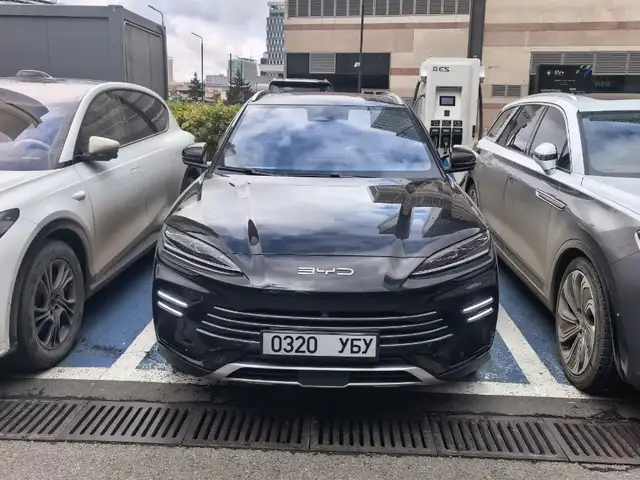 BYD Бусад