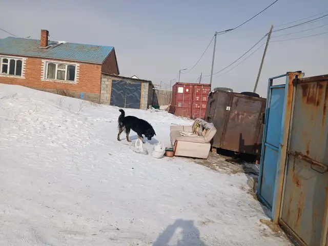 Baruunsalaand hashaa baishin, Улаанбаатар — Сонгинохайрхан — Баруун салаа