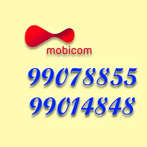 99078855, 99014848, Улаанбаатар — Баянгол — 3, 4 хороолол