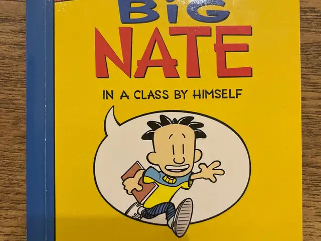 Хүүхдийн англи хэл ном big nate, Улаанбаатар — Хан-Уул — Хансвилл хотхон