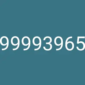 99993965, Улаанбаатар — Сүхбаатар — 5-р хороолол