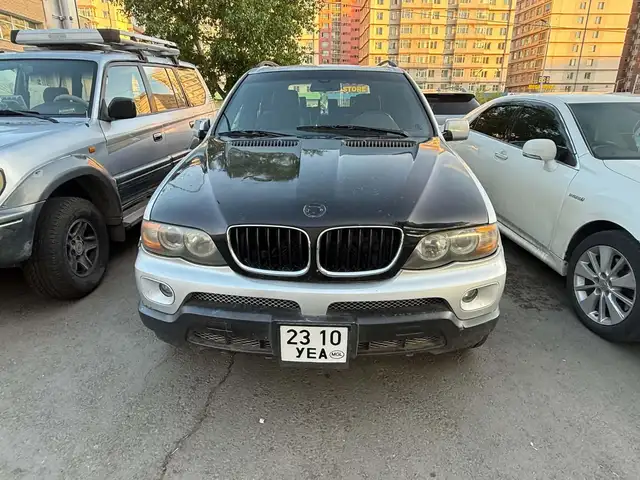 BMW X5