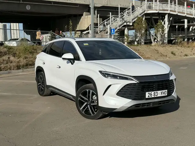 BYD Бусад