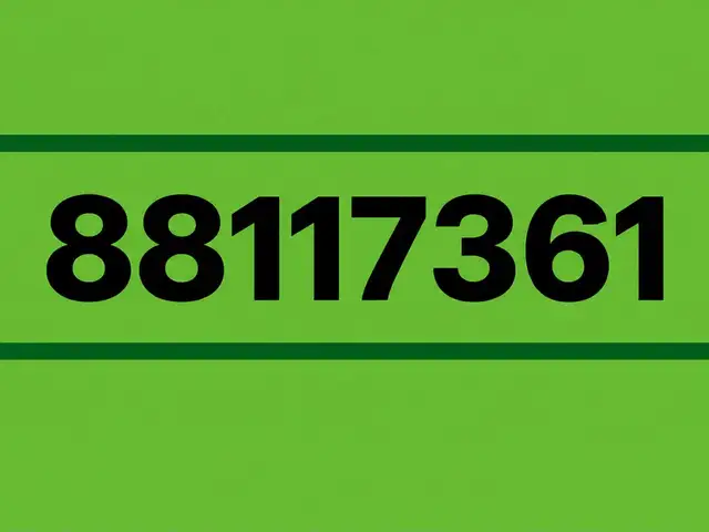 88117361 дугаар, Улаанбаатар — Сүхбаатар — 8-р хороо
