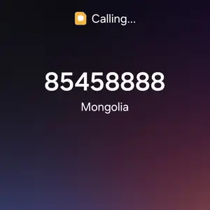 85458888, Улаанбаатар — Чингэлтэй — 1-р хороо