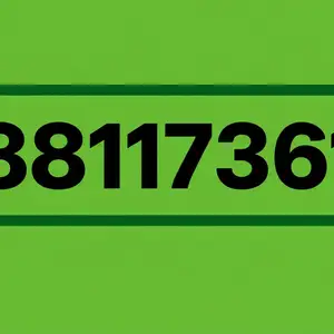 88117361 дугаар, Улаанбаатар — Сүхбаатар — 8-р хороо