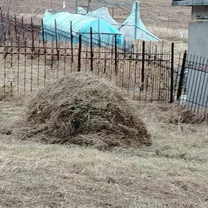 2 портер өвс, Улаанбаатар — Сүхбаатар — Шарга морьт