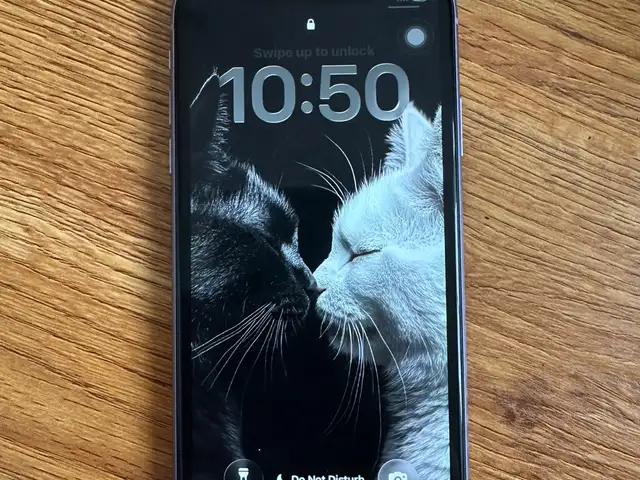 Apple Iphone 11, 64 gb, Purple, Улаанбаатар — Баянгол — 6-р бичил