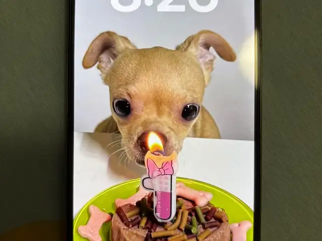Apple iPhone 16 Pro Max, 256 gb, Улаанбаатар — Хан-Уул — UB Town