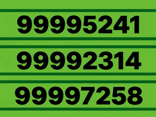 9999 дугаар, Улаанбаатар — Сүхбаатар — 8-р хороо