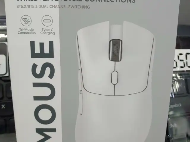 R1 mouse attack shark, Улаанбаатар — Чингэлтэй — 2-р хороо