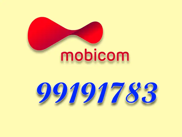 99191783, Улаанбаатар — Баянгол — 3, 4 хороолол