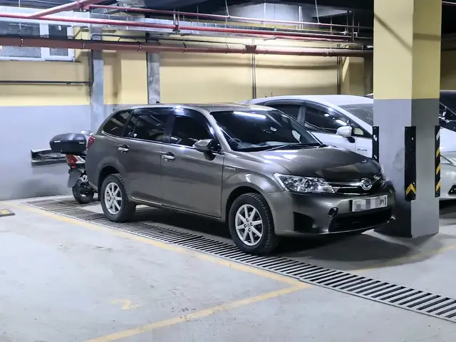 Toyota Corolla Fielder