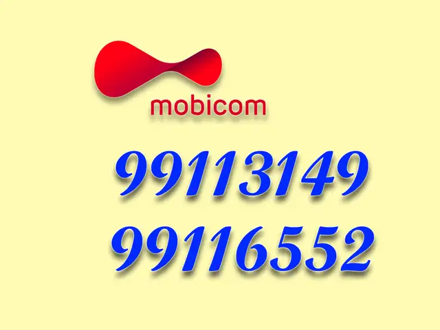 99113149, 99116552, Улаанбаатар — Баянгол — 3, 4 хороолол