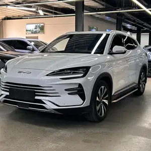 BYD Бусад