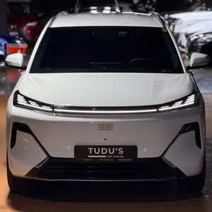 Geely Бусад