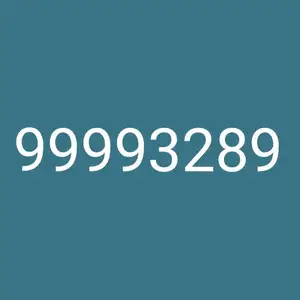 99993289, Улаанбаатар — Сүхбаатар — 5-р хороолол