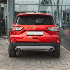 Ford Бусад