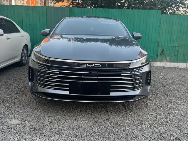 BYD Бусад