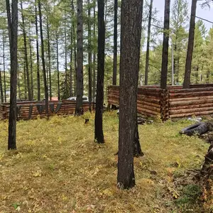Бүтэн дүнзэн 8х8 торх, Улаанбаатар — Сүхбаатар — 19-р хороо