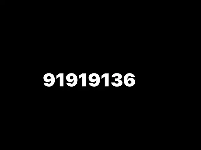 91919136, Улаанбаатар — Баянзүрх — Нохойтой хөшөө