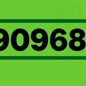 9909 дугаар, Улаанбаатар — Сүхбаатар — 8-р хороо