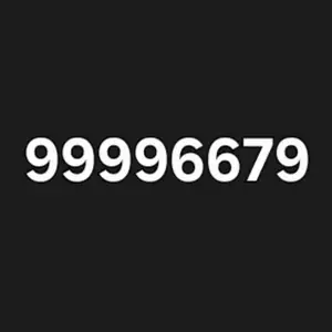 99996679 dugaar, Улаанбаатар — Сүхбаатар — 6-р хороо