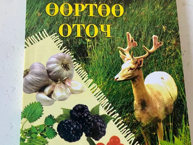 Та өөртөө оточ, Улаанбаатар — Баянзүрх — 16-р хороолол