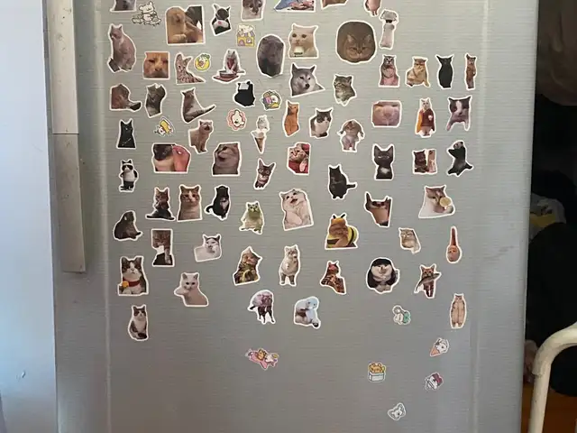 Sharp 1 хаалгатай хөргөгч, Улаанбаатар — Сүхбаатар — 100 айл