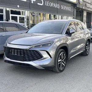 BYD Бусад