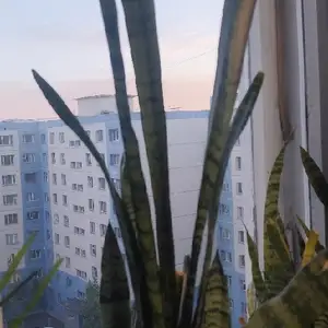 Өндөр мөнхрөө, Улаанбаатар — Баянгол — 3, 4 хороолол