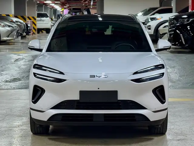 BYD Бусад