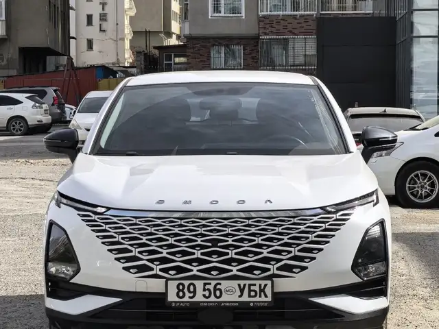 Chery Бусад