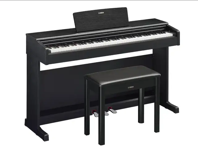 Yamaha arius ydp-145b дижитал төгөлдөр хуур, Улаанбаатар — Баянзүрх — Үндэсний цэцэрлэгт хүрээлэн